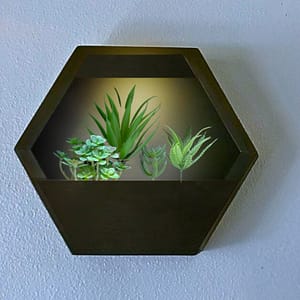 Soliel Wall Light-Black