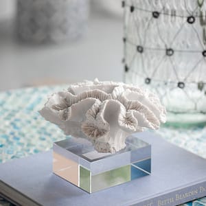 Coral Sculpture