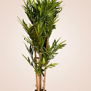 Theresa Bamboo Tree