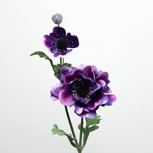 TheShowroom Furniture Purple Anemone Flower