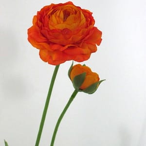 TheShowroom Furniture Orange Ranunculus Flower