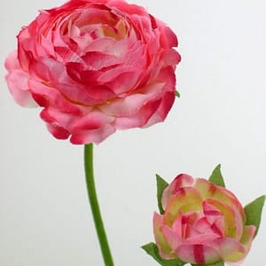 TheShowroom Furniture Pink Ranunculus Flower