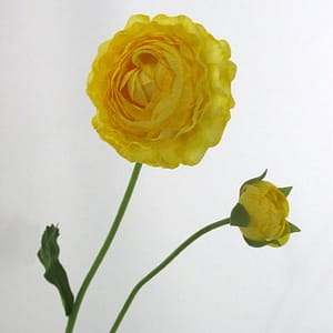 TheShowroom Furniture Yellow Ranunculus Flower