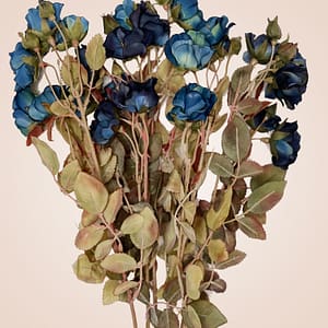Blue Rose Sauvage
