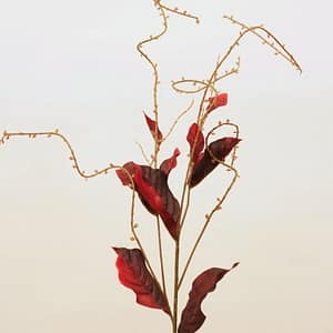 Burgundy Tropical Salix Spray