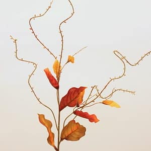 Orange Tropical Salix Spray