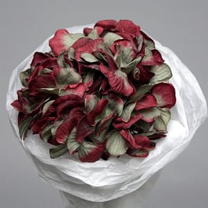 Theshowroom Furniture Burgundy Hortensia Flower