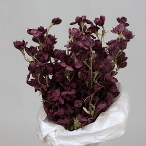 DELFINIUM MINI PURPLE 45CM