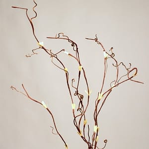 Jade Branches
