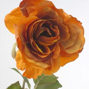 Country Rose Spray-Orange