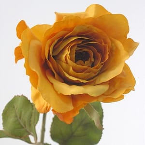 Country Rose Spray-Yellow