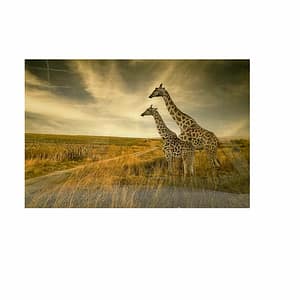 Giraffe Painting
