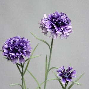 Cornflower BLEU