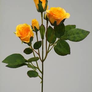 Yellow Rose Bouquet