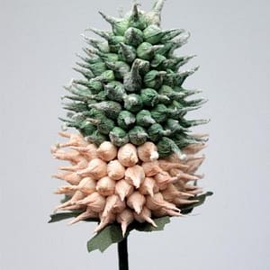 Ananas Stalk-Beige