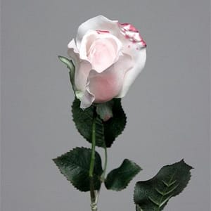 Irene Rose Light Pink