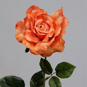 Orange Rose Spray