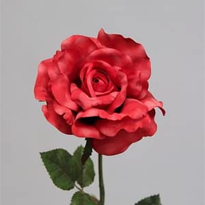 Red Rose Spray