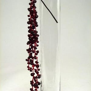 Dark Berry Hanging Bush