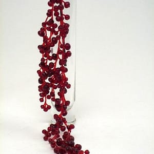 Red Berry Hanging Bush