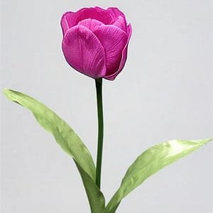 Tulip Peony-Pink