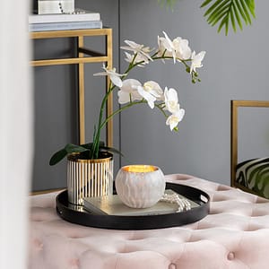 Frost Vase-White/Gold