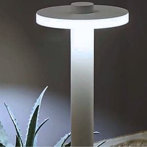 Tianzi Floor Lamp