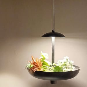 Solvia Pendant Light-Large