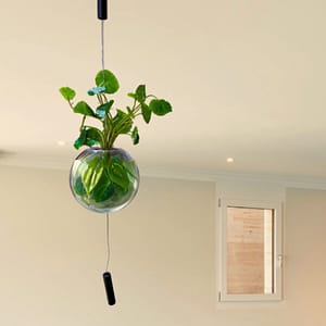 Orin Pendant Light