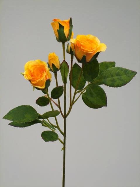 Yellow Rose Bouquet