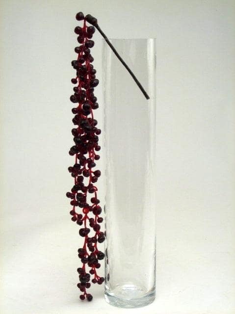 Dark Berry Hanging Bush