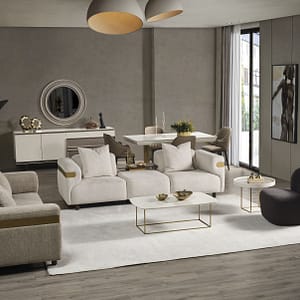 Theshowroom Furniture Line Sofa Set